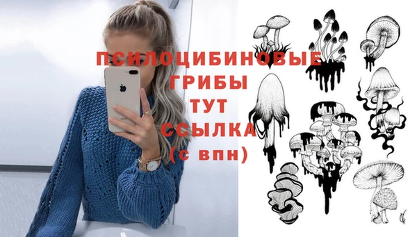 соль ск Горно-Алтайск