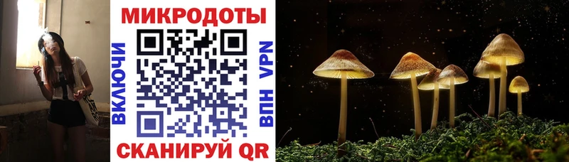 закладка  Кисловодск  Псилоцибиновые грибы ЛСД 